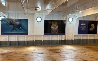 Exposition “Mer” avec Reporters sans frontières